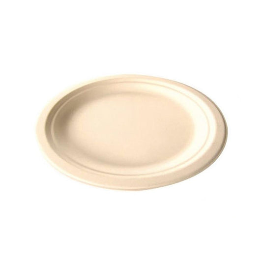 Small Disposable Plate