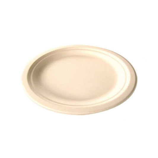 Large Disposable Plate
